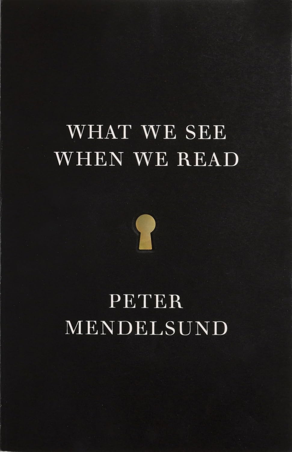 Cover of "What We See When We Read"